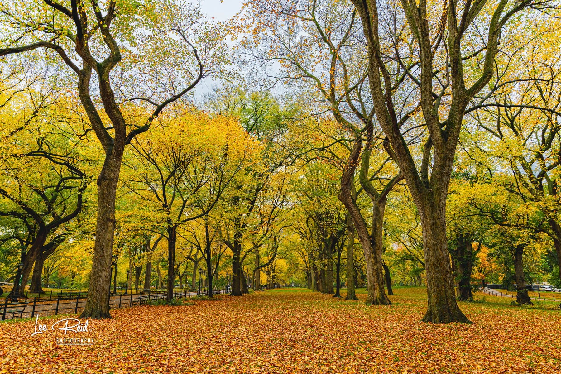 Landscape photography by Lee Reid
