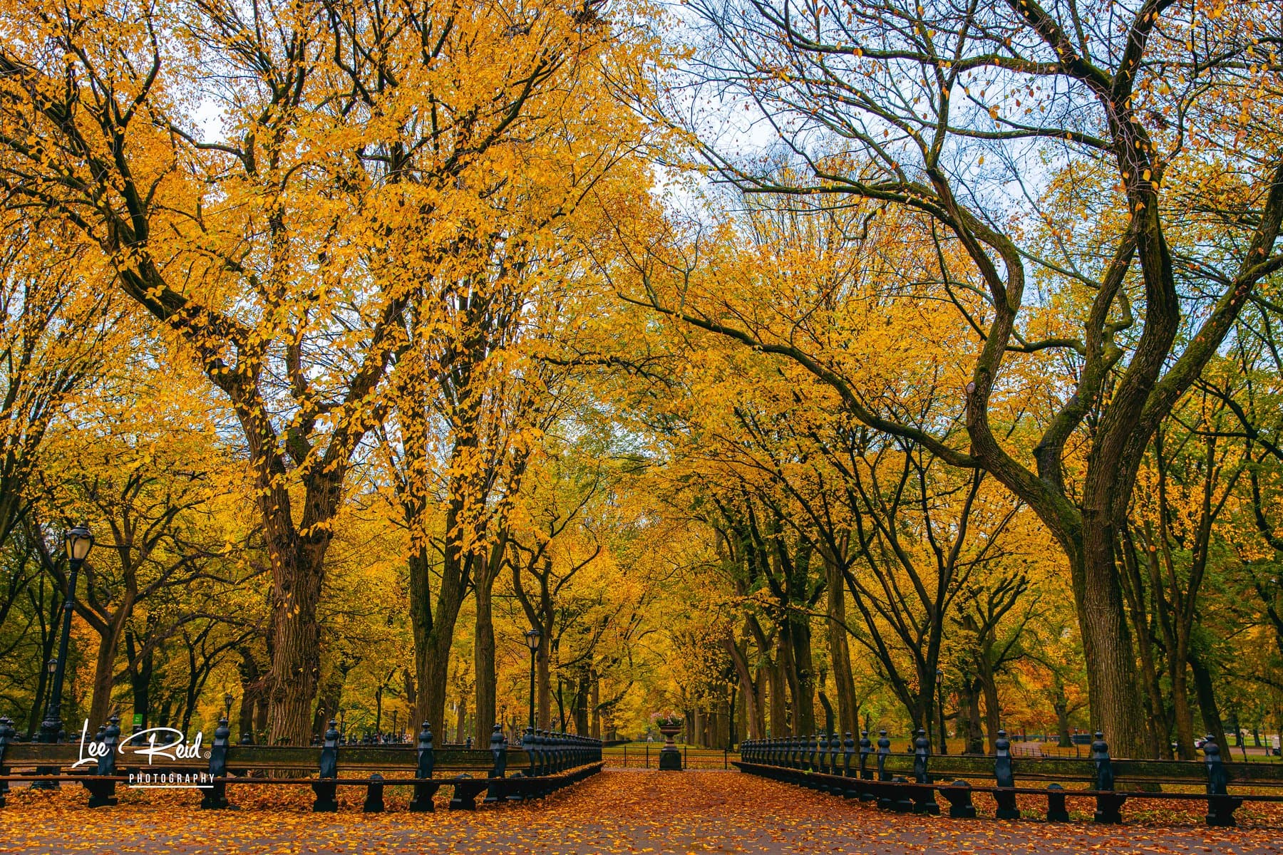 Landscape photography by Lee Reid