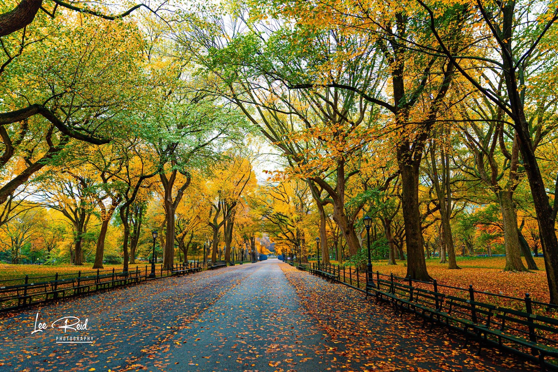 Landscape photography by Lee Reid