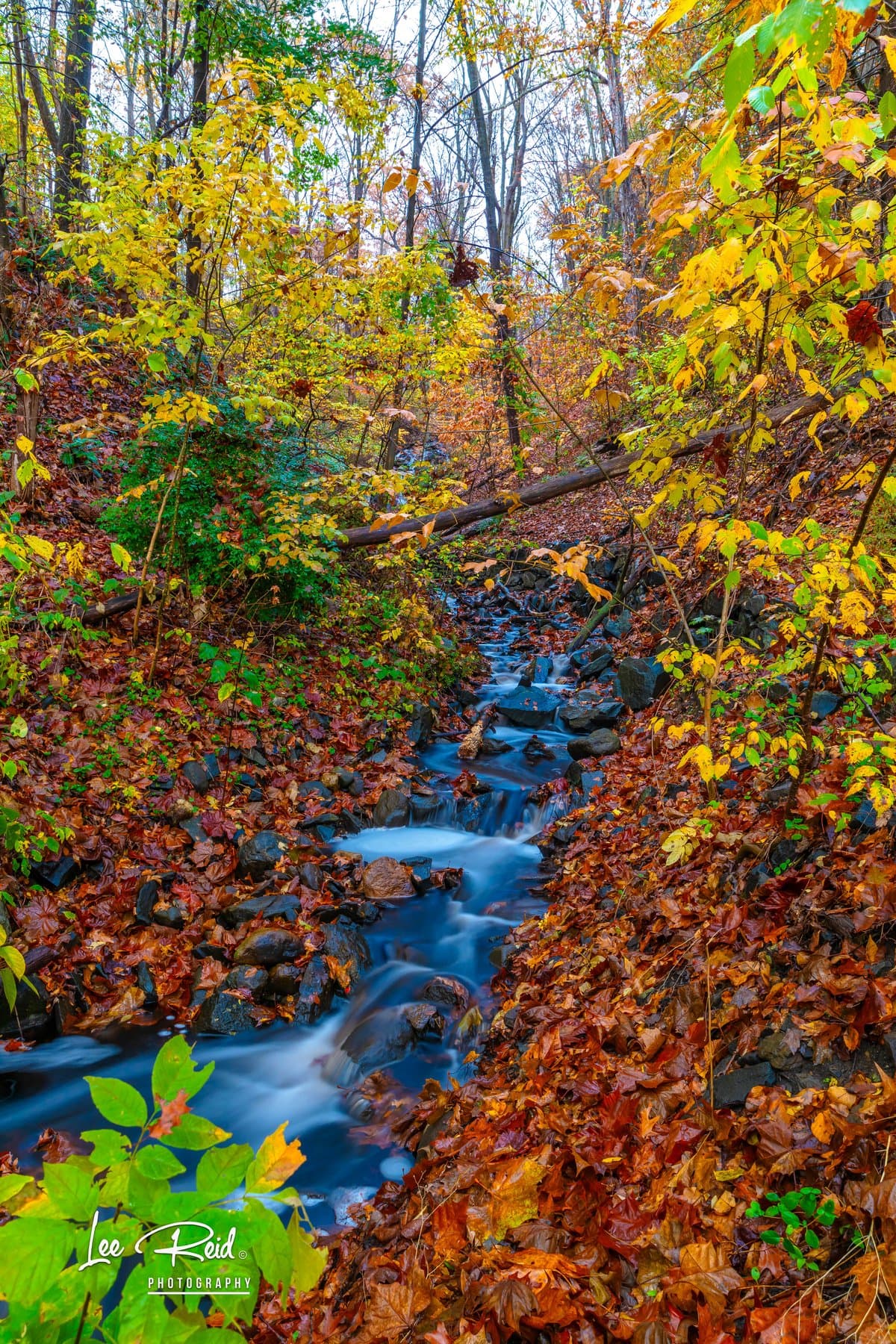 Landscape photography by Lee Reid