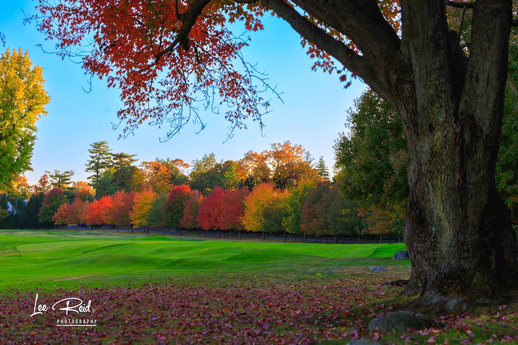 Landscape photography by Lee Reid