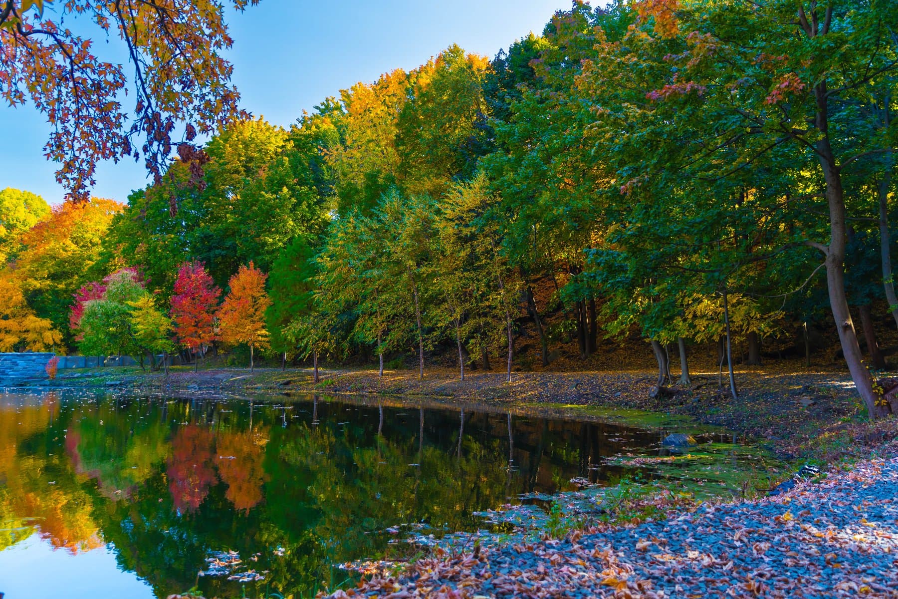 Landscape photography by Lee Reid