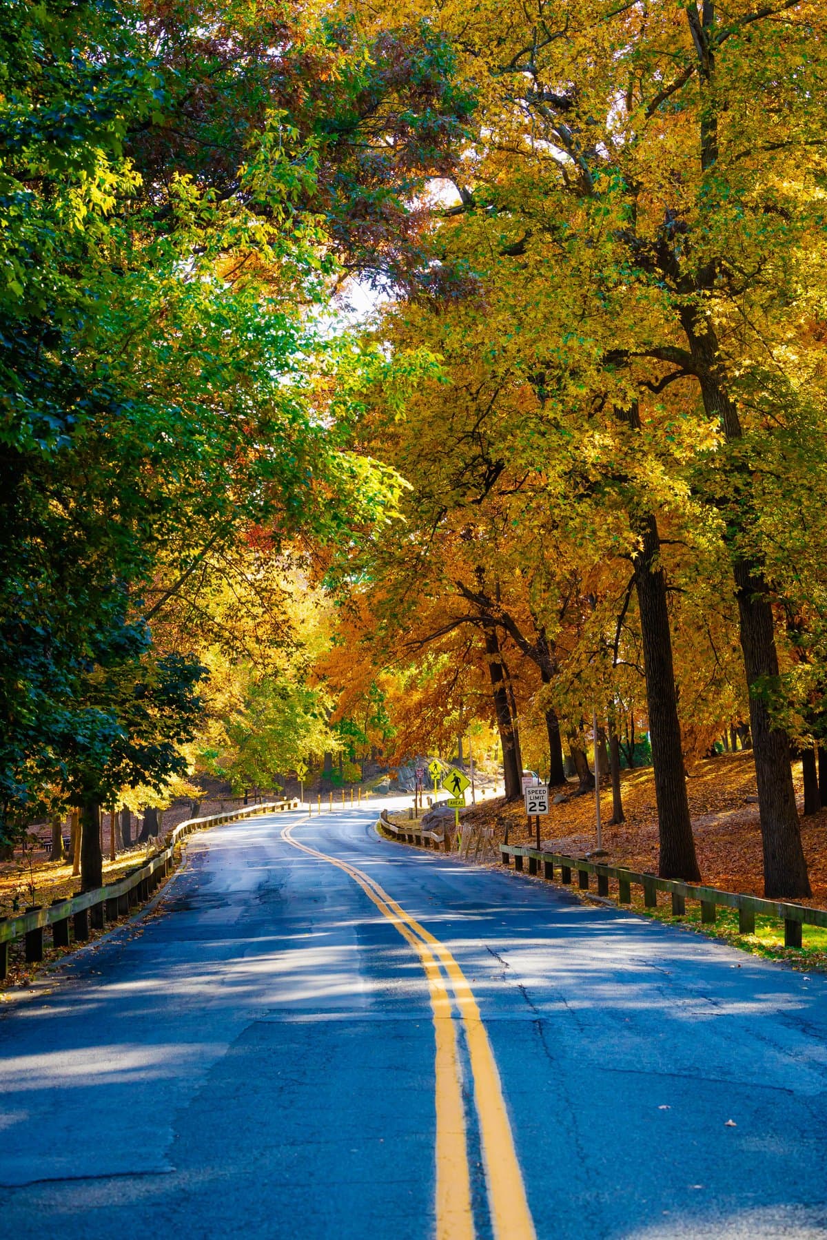 Landscape photography by Lee Reid