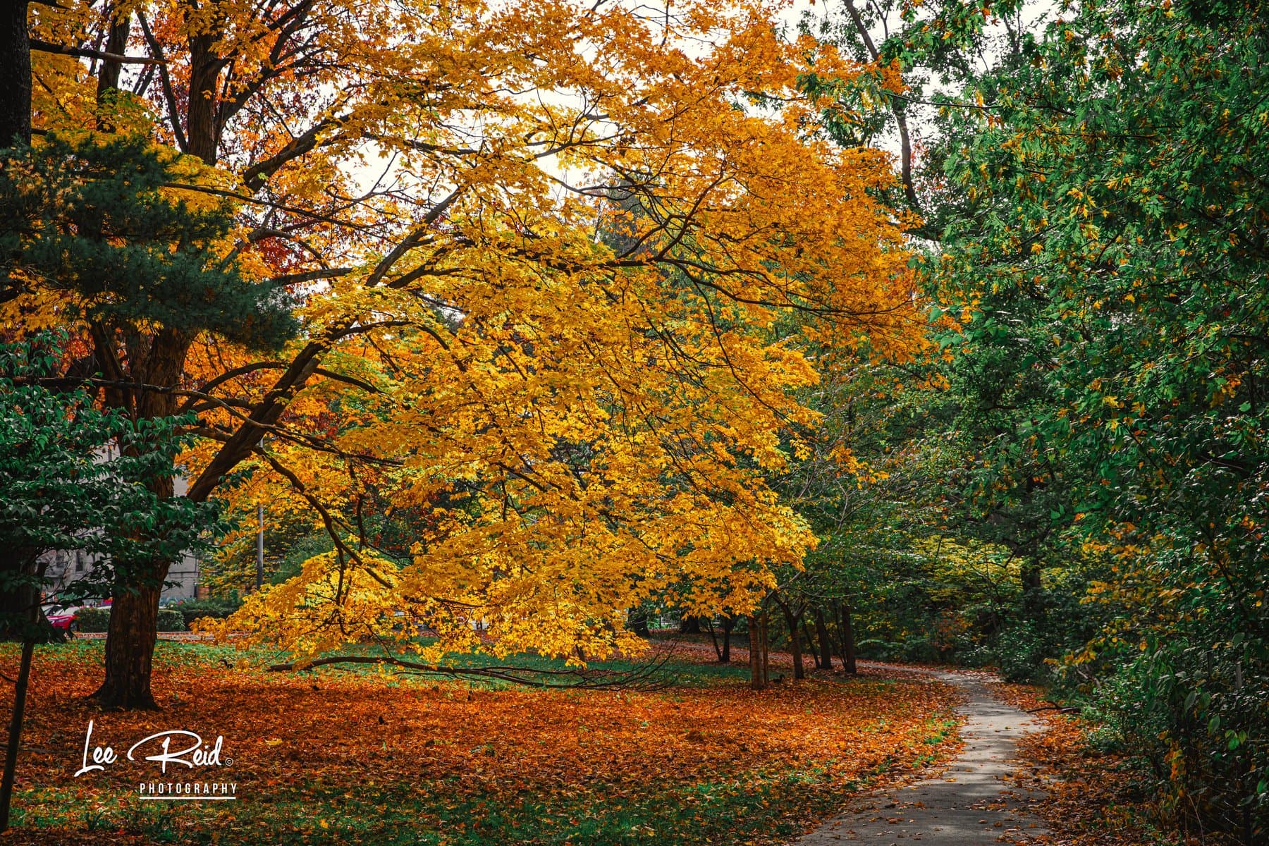 Landscape photography by Lee Reid